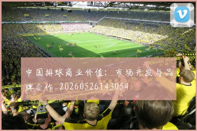 中国排球商业价值:市场开发与品牌合作_20260526143054